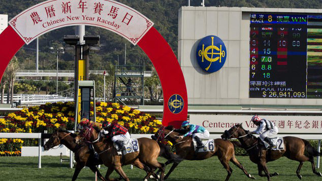 Trường đua ngựa Sha Tin, Hồng Kông - Ảnh: CNN