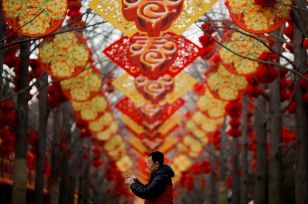 Một người đàn ông hôm 11/2 chụp ảnh cây được trang trí cho Tết tại công viên Ditan, Bắc Kinh, Trung Quốc. Ảnh: Reuters.