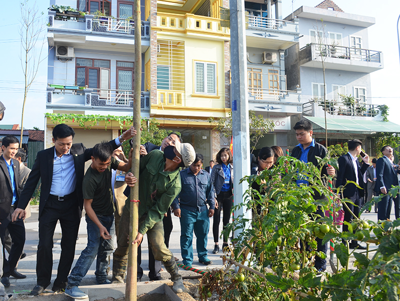 cán bộ, nhân dân thành phố Uông Bí trồng cây xanh đô thị