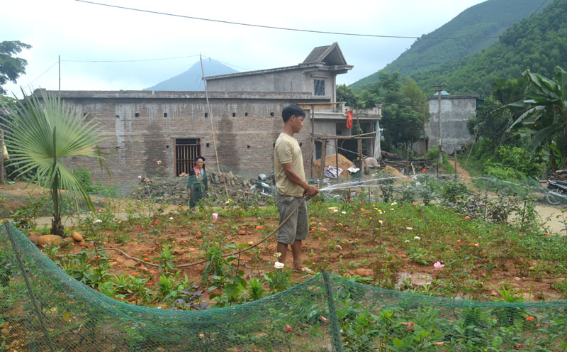 Người dân thôn Khe Mằn, xã Đồn Đạc, huyện Ba Chẽ trồng vườn hoa ở trung tâm thôn để đón tết