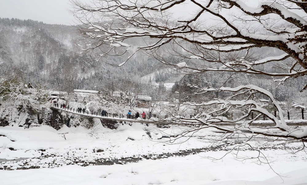Shirakawago nghĩa Hán tức ‘Bạch Xuyên Hương,’ là làng của những con sông trắng. Vào mùa đông, dòng sông đi qua làng phủ đầy tuyết trắng, với cây cầu có tên Deai-bashi tức cầu Kỳ Duyên, dài 107m bắc ngang qua. (Ảnh: Tomo/Vietnam+)