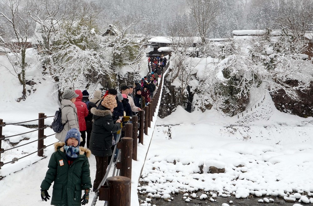 Dù tiết trời lạnh giá, nhiệt độ dưới 0 độ C, rất đông khách du lịch vẫn nườm nượp tới làng Shirakawago để chiêm ngưỡng vẻ đẹp của ngôi làng lung linh trong tuyết trắng. (Ảnh: Tomo/Vietnam+)