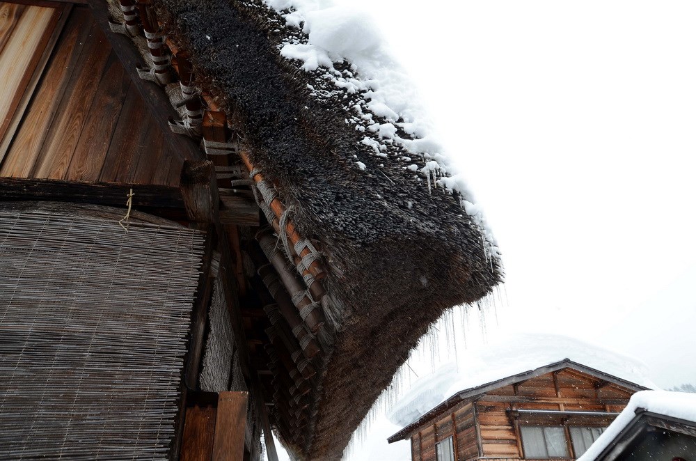 Nhà cổ tại làng Shirakawago phần mái được lợp dày tới 50cm, đây cũng là một trong những đặc trưng giúp giữ ấm và chống chọi với lượng tuyết lớn rơi xuống đây vào mùa Đông. (Ảnh: Tomo/Vietnam+)