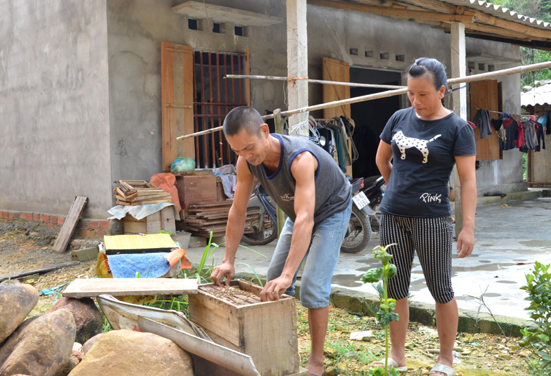 Mô hình nuôi ong lấy mật của hộ gia đình chị Trương Thị Hà, thôn Đồng Trà, xã Đồng Lâm, huyện Hoành Bồ giúp gia đình có thu nhập khá ổn định