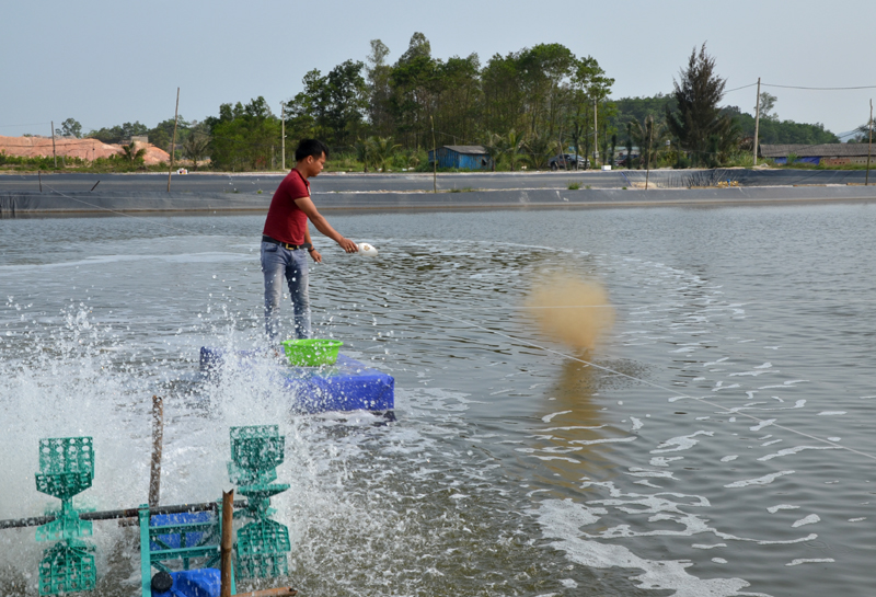 Mô hình nuôi trồng thủy sản có giá trị kinh tế cao đang được một số hộ dân ở xã Lê Lợi, huyện Hoành Bồ duy trì
