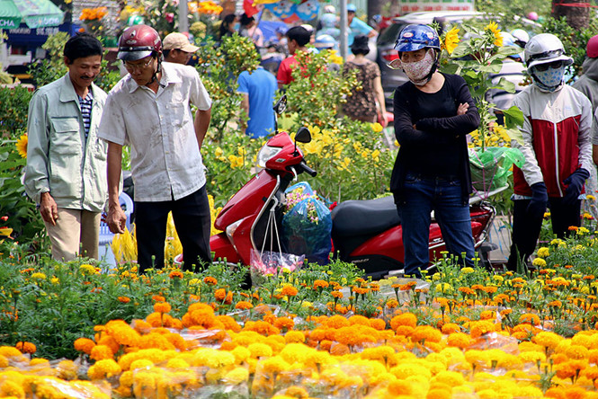 Chợ hoa xuân 2018 tại công viên Gia Định (TP.HCM) sáng 30 tết. Ảnh: Đậu Tiến Đạt