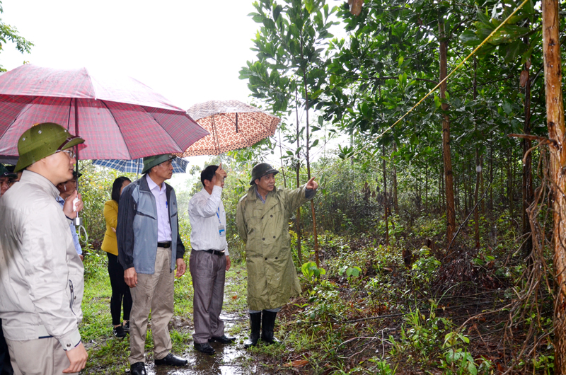 Đồng chí Đặng Huy Hậu, Phó Chủ tịch UBND tỉnh kiểm tra việc triển khai Đề án 196 tại xã Kỳ Thượng, huyện Hoành Bồ