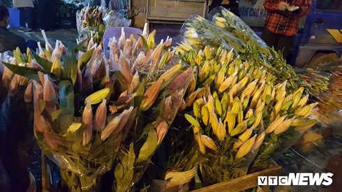 Giá hoa ly ở Hà Nội đang rất rẻ, người trồng than trời.