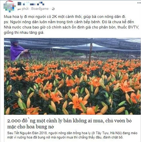 Kêu gọi giải cứu hoa ly trên mạng xã hội facebook.