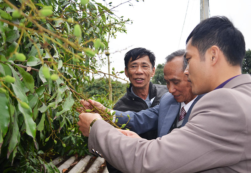 Năm 2017, phường Phương nam (TP Uông Bí là địa phương cấp xã tổ hcuwcs hội nghị xúc tiến thương mại nông sản