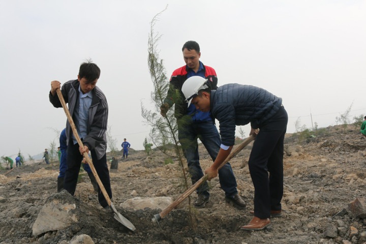 Phạm Quốc Cường tham gia trồng cây xanh hoàn nguyên môi trường tại khai trường của đơn vị.