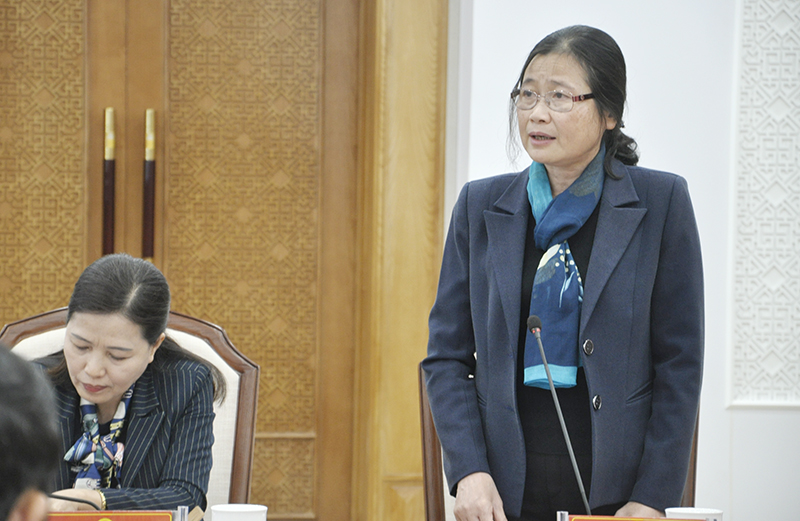 Phó Bí thư Thường trực Tỉnh ủy, Đỗ Thị Hoàng, phát biểu tại phiên họp.