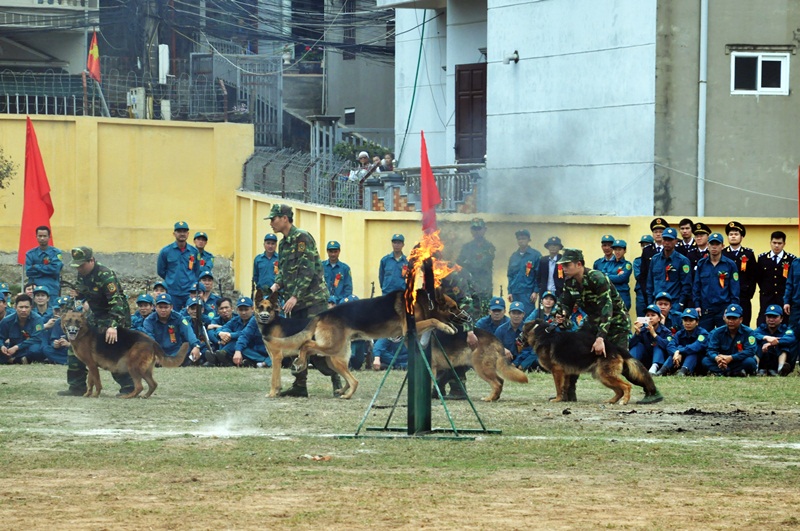 Lực lượng Bộ đội Biên phòng trên địa bàn TP biểu diễn võ thuật tại lễ ra quân.