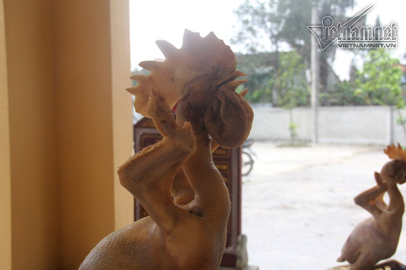 Việc làm gà cúng đẹp là một nét văn hoá quen thuộc lâu nay ở các dòng họ tại huyện Lộc Hà