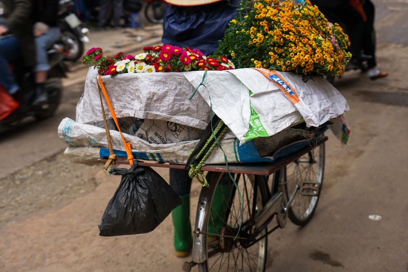 Tờ báo Anh nổi tiếng The Guardian mới đây đăng tải loạt ảnh của nhiếp ảnh gia Chris Schalkx chụp tại Việt Nam. Qua những bức hình của tay máy người Hà Lan, “đất nước hình chữ S” hiện lên đầy màu sắc, nổi bật với vẻ đẹp bình dị, gần gũi.