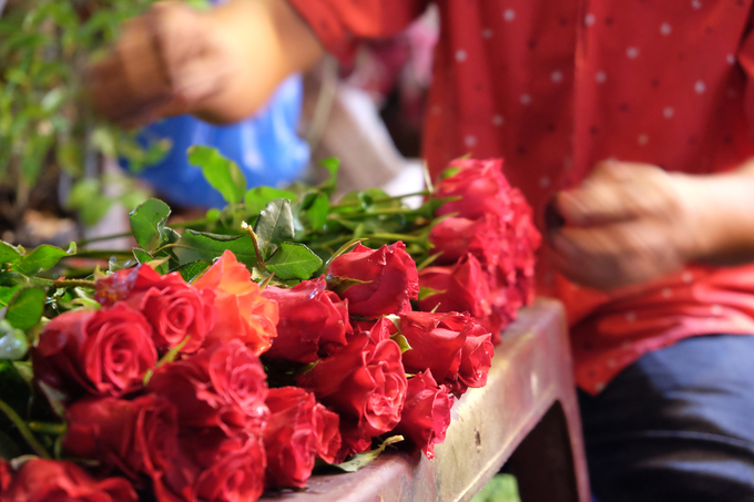 Hoa hồng Đà Lạt loại tươi (không phải trữ lạnh) được bán với giá cao nhất.