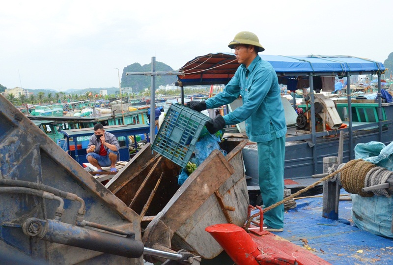 Công nhân Công ty CP Cây xanh công viên Quảng Ninh di chuyển rác thải thu gom trên Vịnh tới nơi xử lý.