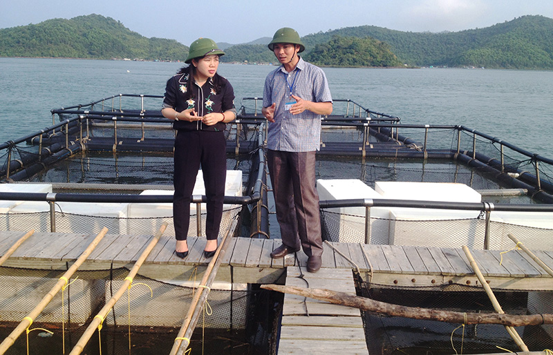  Khu nuôi cá lồng bè áp dụng vật liệu HDPE thân thiện với môi trường của các hộ ven biển xã Tân Lập.