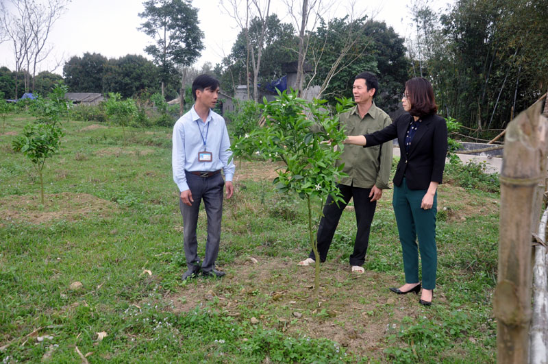 Cán bộ Ban Dân vận Huyện ủy Đầm Hà kiểm tra mô hình phát triển kinh tế trang trại tại thôn Tân Tiến, xã Tâm Bình