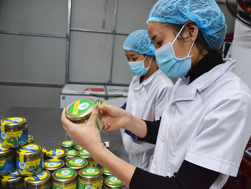 chế biến ruốc hàu, trai, bề bề tại Công ty TNHH sản xuất và thương mại thủy sản Quảng Ninh 