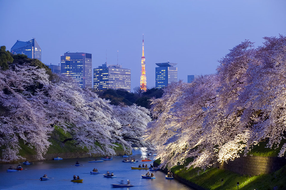 Tokyo (Nhật Bản) đứng ở vị trí thứ 18, với sự quyến rũ của ẩm thực những khu mua sắm, các đền đài cổ kính. Ảnh: Culinary Backstreets.