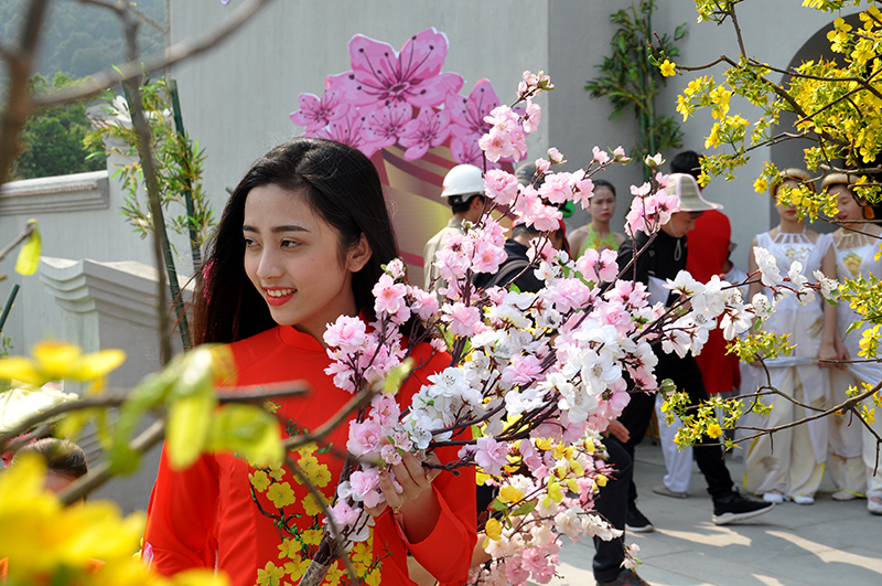 Nhiều du khách đã có mặt từ sớm để chụp ảnh bên những cành hoa mai, hoa anh đào.