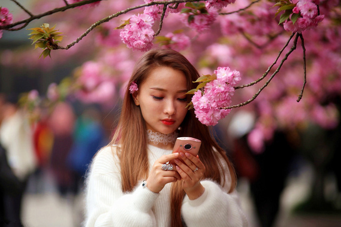 Sắc hồng thắm của hoa anh đào và tiết trời mùa xuân tạo nên không gian lãng mạn trong khuôn viên Đại học Khoa học và Kỹ thuật Trung Quốc, thuộc tỉnh An Huy, phía đông Trung Quốc.