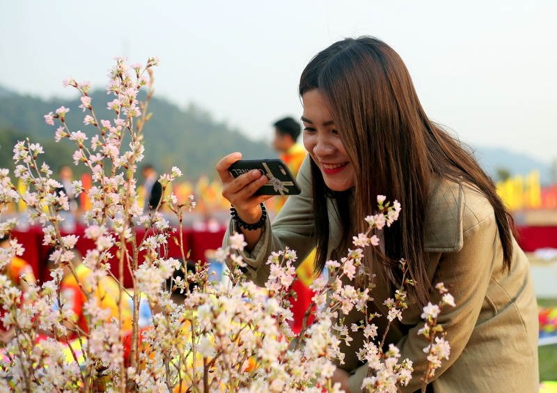 Nếu như những du khách người Việt Nam rất thích thú với hoa anh đào Nhật Bản...