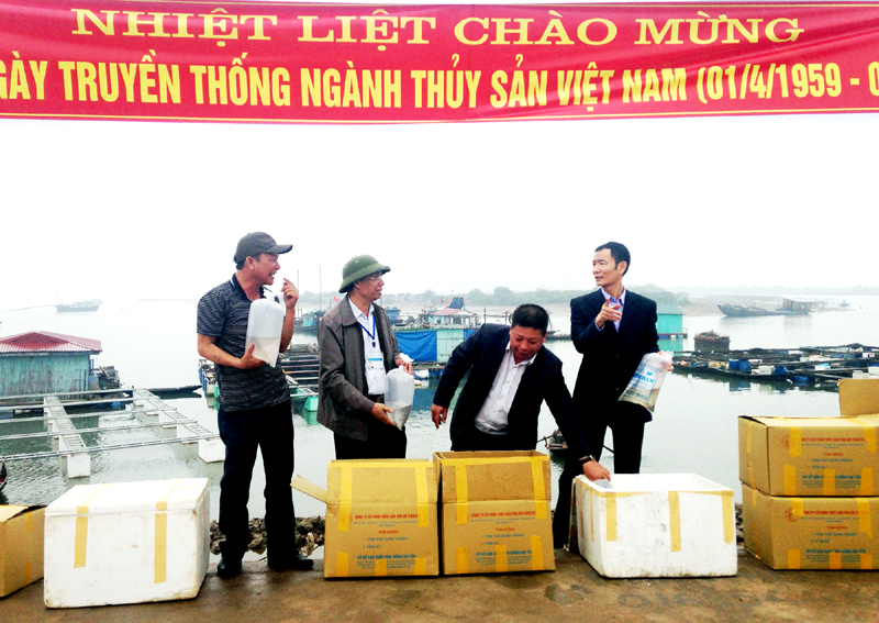 TX Quảng Yên chuẩn bị con giống thuỷ sản để thả vào vùng nước tự nhiên tại bến cá Tân An (Ảnh: Việt Hoa)