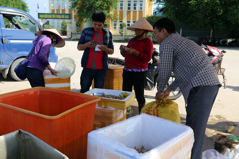 Thu mua thủy sản tại Bến Mũi Ngọc, phường Bình Ngọc.