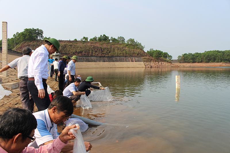Các đồng chí lãnh đạo huyện Đầm Hà thả cá tại hồ chứa nước Đầm Hà Động