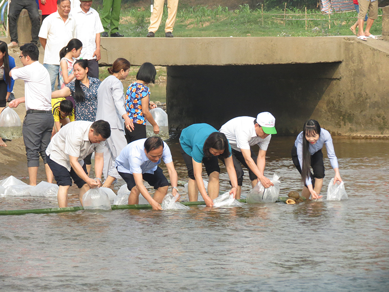 Lãnh đạo huyện Ba Chẽ  cùng đông đảo nhân dân trên địa bàn huyện thả cá phóng sinh tại sông Ba Chẽ 