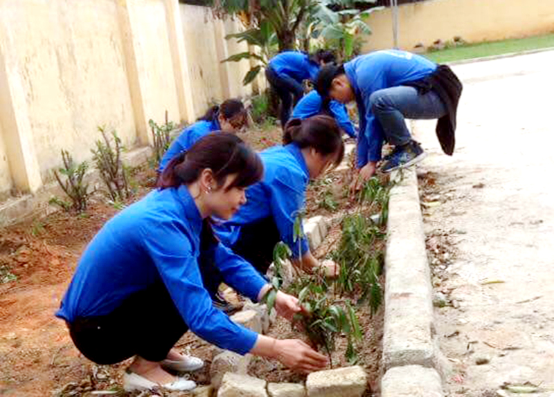 ĐVTN TP Uông Bí trồng cây xanh khu vực khu 7, phường Thanh Sơn. Ảnh: Cao Quỳnh