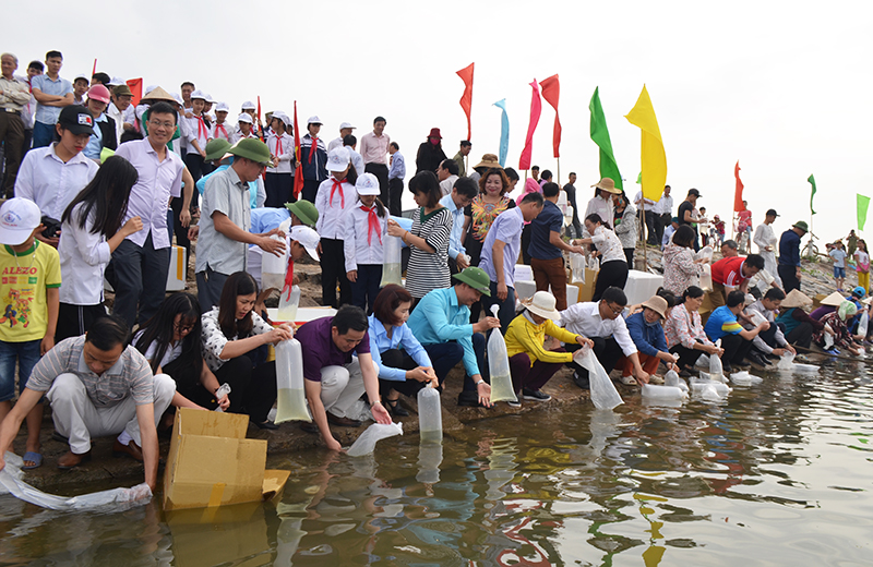 Ngư dân thị xã Quảng Yên thả giống tái tạo nguồn lợi thủy sản tại Bến Giang