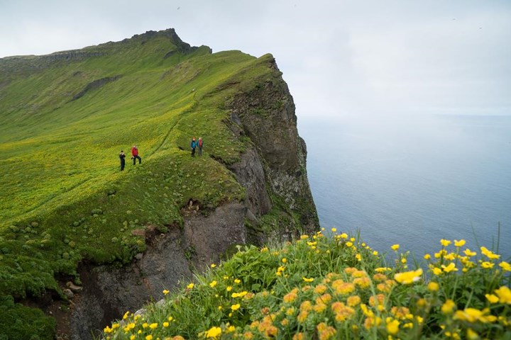  Khu bảo tồn thiên nhiên Hornstrandir, Iceland. Khu bảo tồn thiên nhiên Hornstrandir là một trong những bí mật được gìn giữ kĩ nhất của Iceland. Những vị khách du lịch trên tuyến đường vành đai thường không dám mạo hiểm đặt chân tới vùng Westfjords, vậy nên bạn sẽ được tận hưởng sự tĩnh mịch ở đây nhiều hơn bất kì địa điểm thu hút du khách nào ở “Cung Đường Vàng”. 