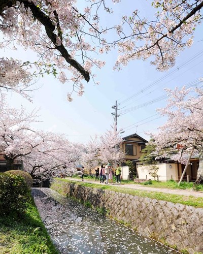   Tetsugaku No Michi, Kyoto, Nhật Bản: Trải dài 2 km, Tetsugaku No Michi là một trong những con đường đẹp nhất Nhật Bản với những sắc hoa anh đào nở rộ vào mùa xuân và màu lá đỏ rực mỗi độ thu sang.