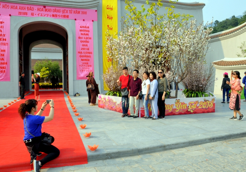 Người dân, du khách chụp ảnh lưu niệm bên hai sắc hoa Anh đào và Mai vàng tại lễ hội 