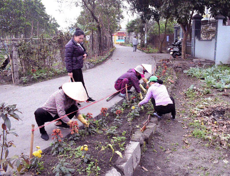 Hội viên, phụ nữ phường Cẩm Phú trồng hoa bên đường.