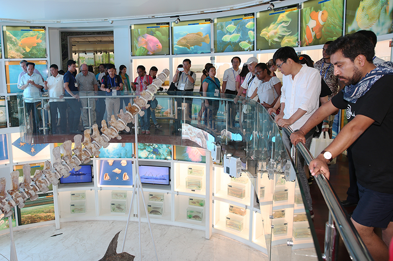 Đoàn đại biểu đến từ các nền kinh tế thành viên APEC đã đến tham Bảo tàng Quảng Ninh. (Ảnh: Đỗ Phương).