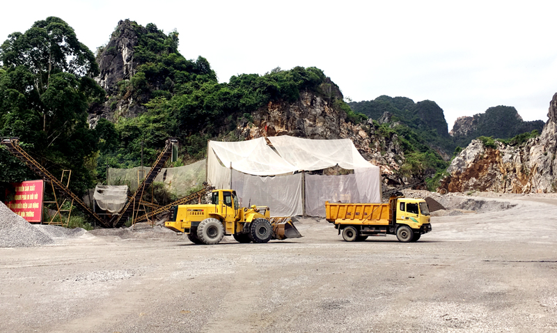 Xí nghiệp đá Phú Cường lắp đặt nhà lưới tại khu vực chế biến