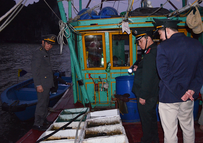 Lực lượng Chi Cục Thủy sản kiểm tra đột xuất về tình hình khai thác thủy sản trên biển