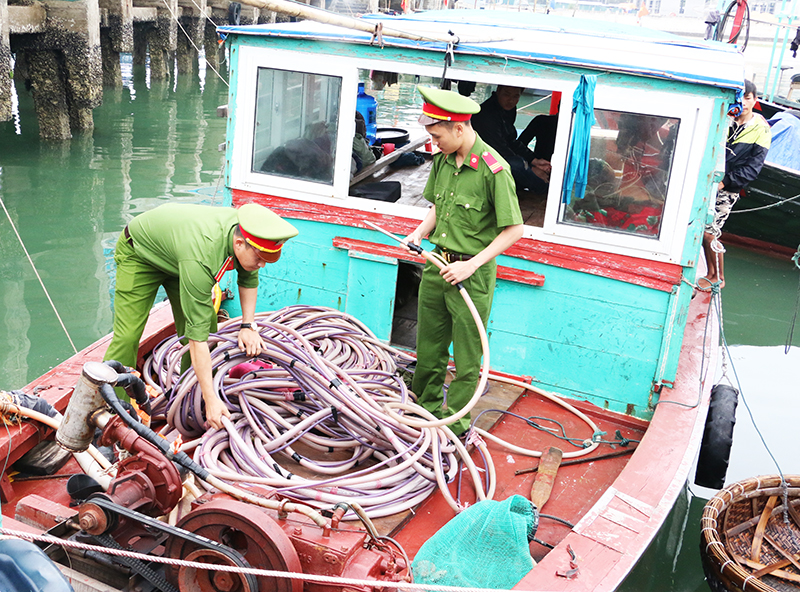Lực lượng chức năng huyện Cô Tô xử lý một trường hợp khai thác thủy sản trái pháp ngày 14/4. Ảnh Nguyễn Thu