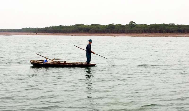 Diện tích bãi triều và mặt nước biển tại Đồng Rui, huyện Tiên Yên