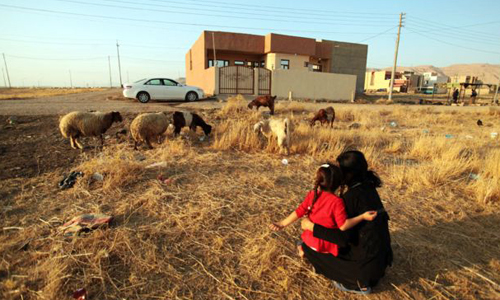 Laila bế con gái ngồi ngắm đàn cừu ở nơi an toàn, chờ đợi tin tức về chồng và con trai. Ảnh: BBC.