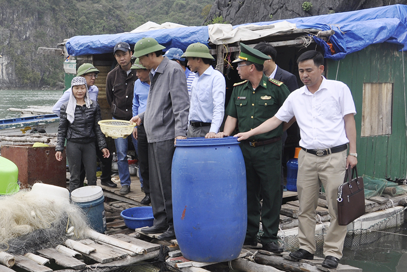 Đồng chí Nguyễn Văn Đọc thăm hộ gia đình nuôi thủy sản thuộc xã Vạn Yên, huyện Vân Đồn.
