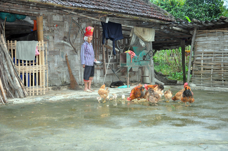 Tại thôn Siệc Lống Mìn, xã Quảng Lâm (Đầm Hà) còn nhiều ngôi nhà tạm, có nguy cơ mất an toàn trong mùa mưa bão.