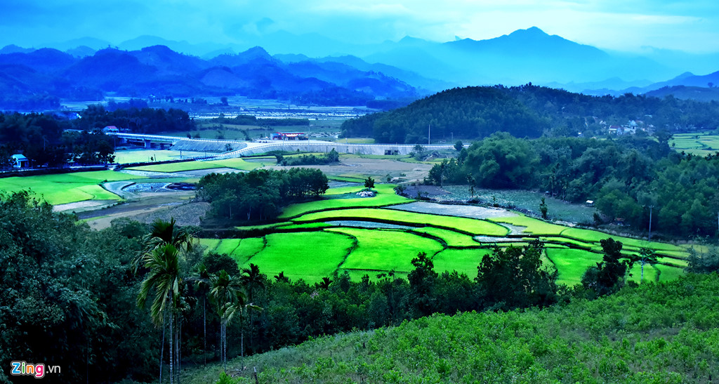 Những ruộng lúa chín chen lẫn lúa xanh ở vùng cao Quảng Ngãi.