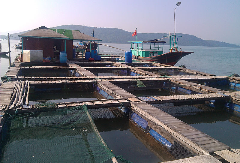 Đảm bảo an toàn khu nuôi nuôi trồng thủy sản trên biển luôn được huyện Đầm Hà quan tâm. Ảnh: Khu nuôi trồng thủy sản của HTX Đức Thịnh tại xã Tân Lập.