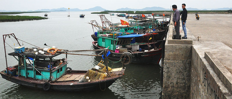 Ddiểm neo đậu tránh trú bão tại khu vực cảng Đầm Buôn xã Đàm Hà.