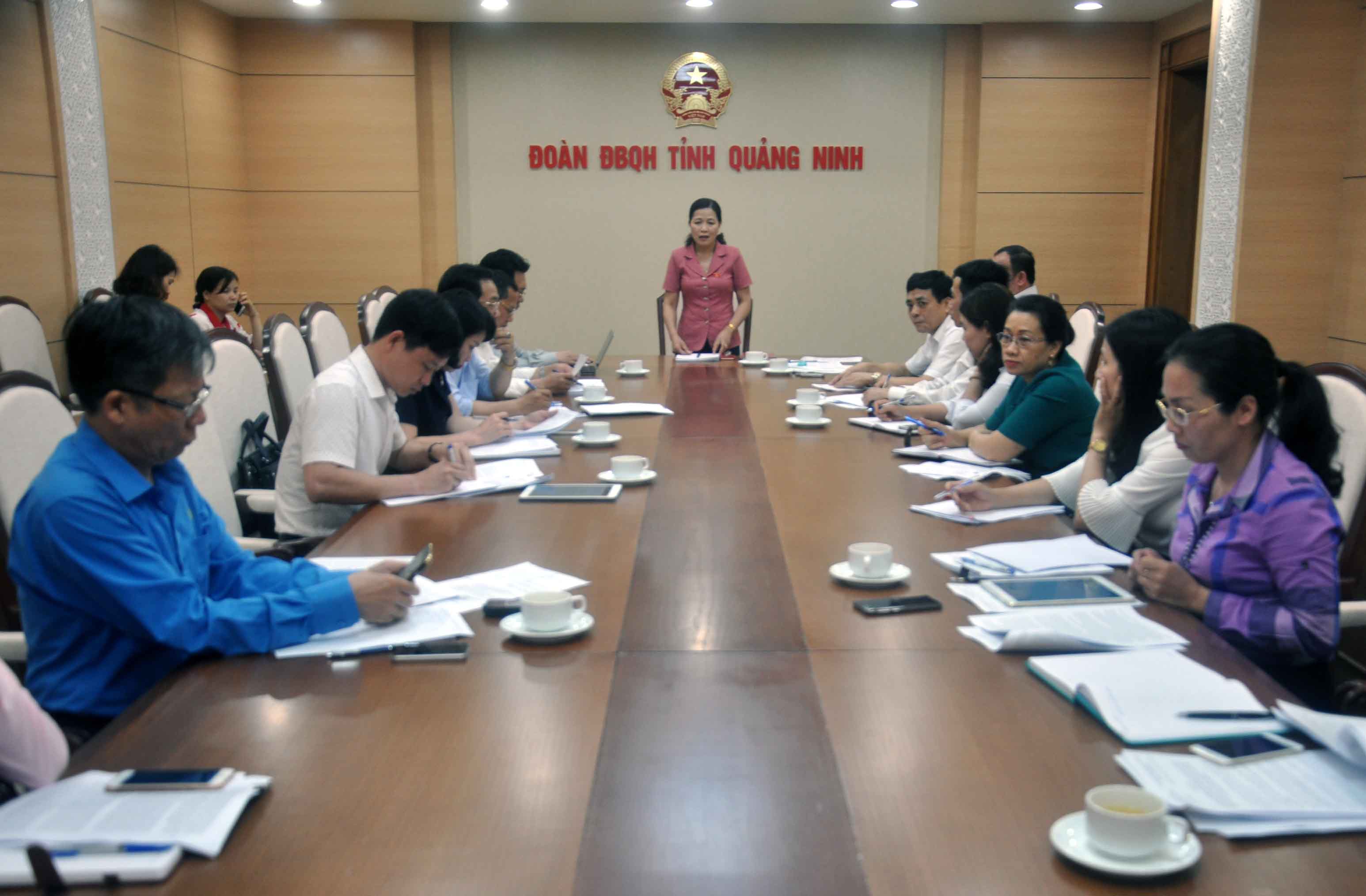 Đồng chí Đỗ Thị Lan, Ủy viên BTV Tỉnh ủy, Trưởng Đoàn ĐBQH tỉnh kết luận buổi làm việc